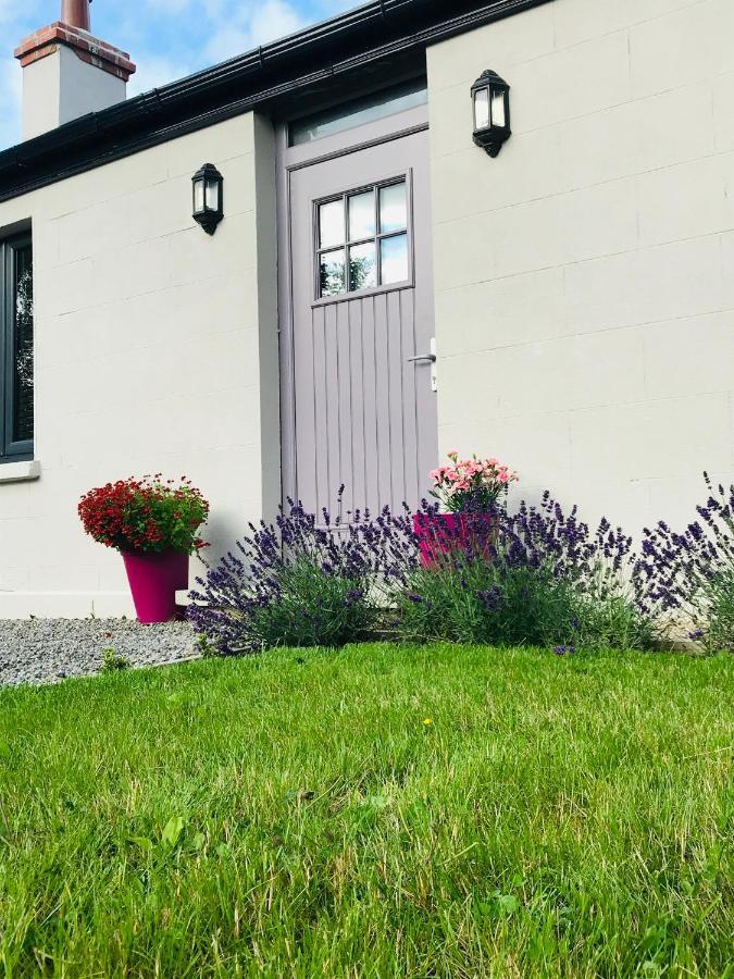 ניוברידג' Lavender Cottage - 2 Bedroom Home מראה חיצוני תמונה